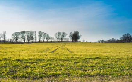 cambio climatico firmas empresas clausulas